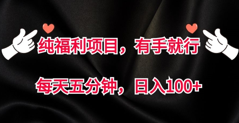 纯福利项目，有手就行，每天五分钟，日入100+-小何资源库