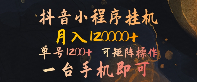 抖音小程序挂机风口项目，月入1.2w，一台手机即可操作，可矩阵操作-小何资源库