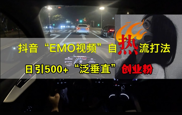 抖音EMO视频自热打法，日引500+“泛垂直”创业粉-小何资源库