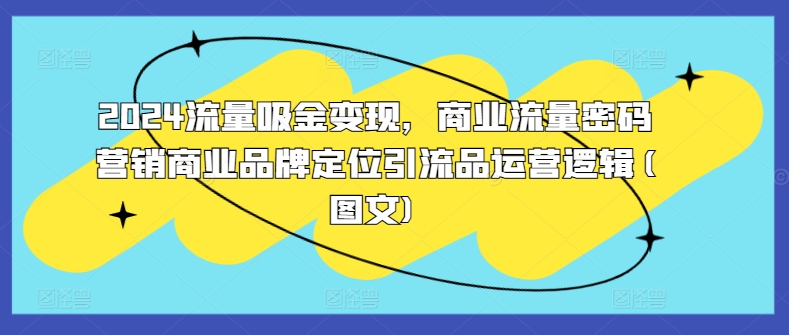 2024流量吸金变现，商业流量密码营销商业品牌定位引流品运营逻辑(图文)-小何资源库