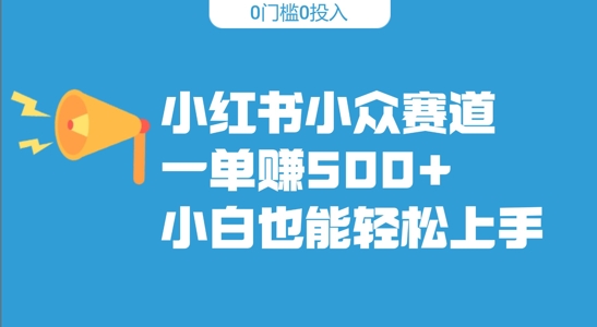 小红书小众赛道，一单收500+，小白也能轻松上手-小何资源库