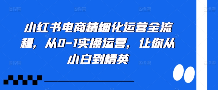 小红书电商精细化运营全流程，从0-1实操运营，让你从小白到精英-小何资源库