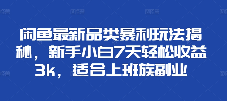 闲鱼最新品类暴利玩法揭秘，新手小白7天轻松收益3k，适合上班族副业-小何资源库