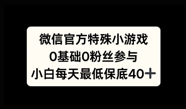 微信官方特定小游戏，0基础0粉丝，小白上手每天最少保底40+-小何资源库