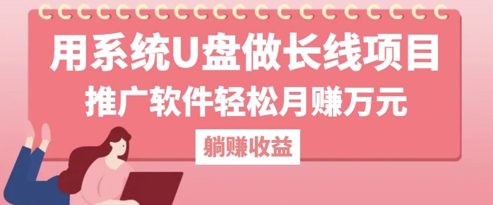 用系统U盘做长线项目，推广软件轻松月入过W-小何资源库