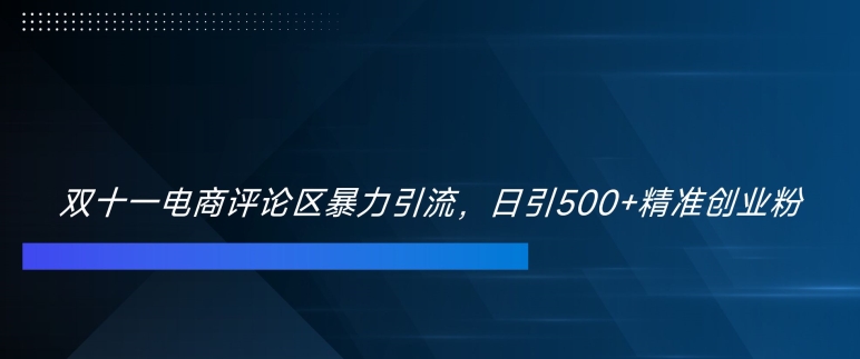 双十一电商评论区暴力引流，日引500+精准创业粉【揭秘】-小何资源库