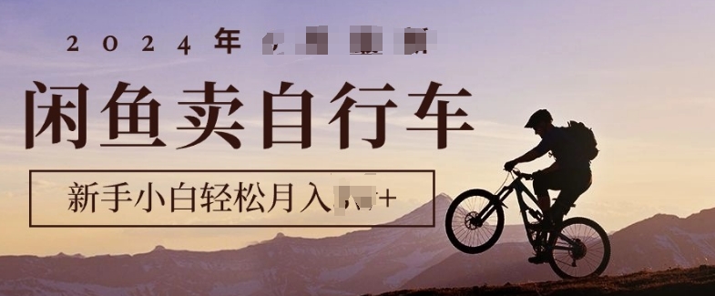 骑行圈的秘密之我在闲鱼卖自行车，项目门槛低，0成本就可以操作-小何资源库