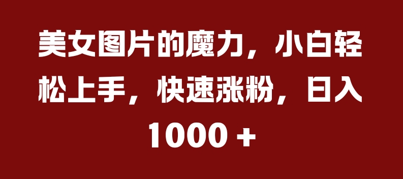 美女图片的魔力，小白轻松上手，快速涨粉，日入几张【揭秘】-小何资源库