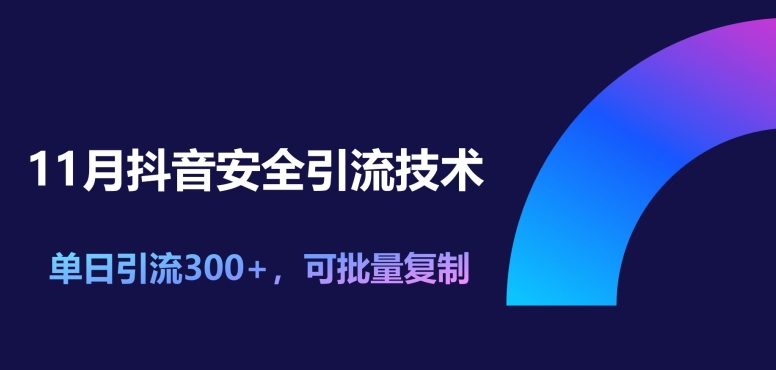 11月抖音安全引流技术，单日引流300+，可批量复制-小何资源库