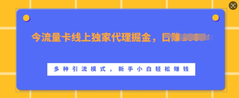 流量卡线上独家代理掘金，日入1k+ ，多种引流模式，新手小白轻松上手【揭秘】-小何资源库