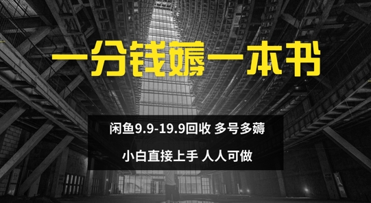 一分钱薅一本书 闲鱼9.9-19.9回收 多号多薅 小白直接上手-小何资源库