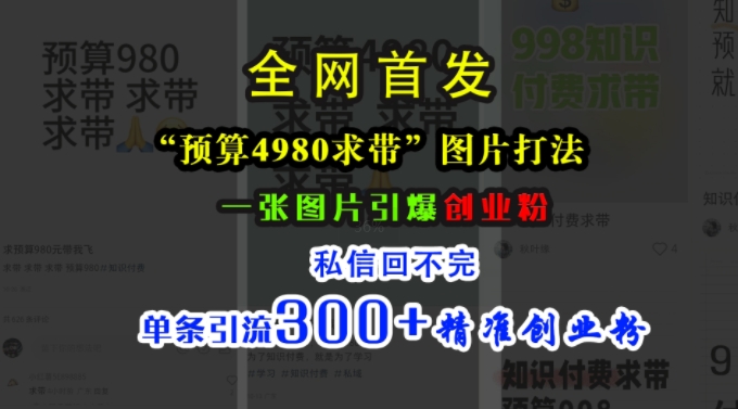 小红书“预算4980带我飞”图片打法，一张图片引爆创业粉，私信回不完，单条引流300+精准创业粉-小何资源库