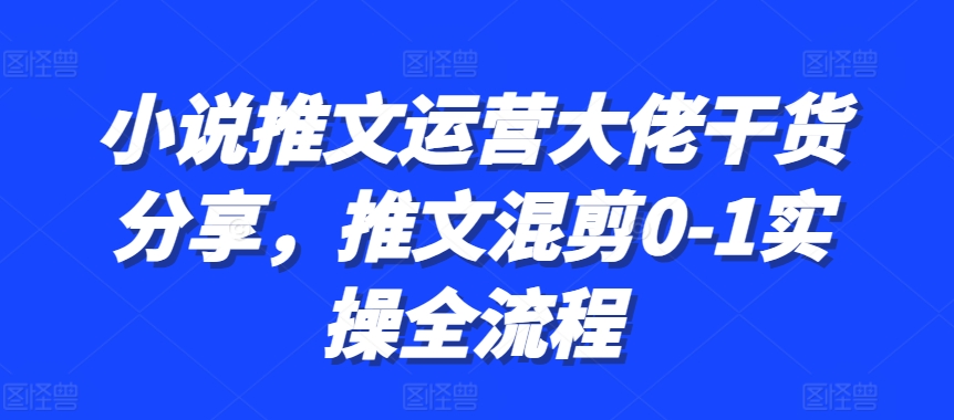 小说推文运营大佬干货分享，推文混剪0-1实操全流程-小何资源库