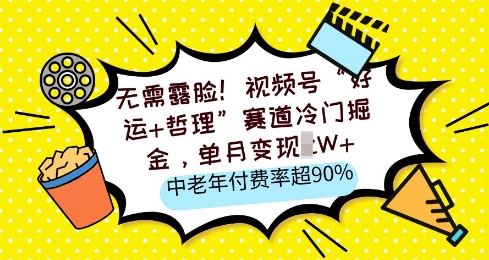 无需露脸，视频号“好运+哲理”赛道冷门掘金，单月变现2W+，中老年付费率超90%-小何资源库