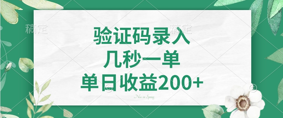 （14221期）验证码录入，几秒一单，单日收益200+-小何资源库