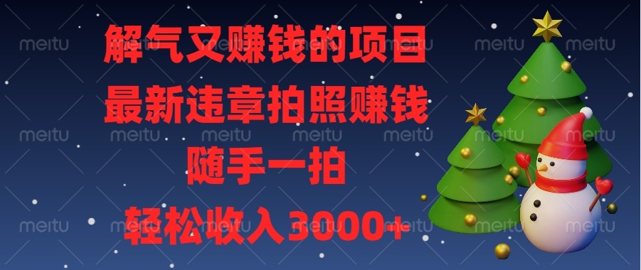 （13804期）解气又赚钱的项目，最新违章拍照赚钱，随手一拍，轻松收入3000+-小何资源库