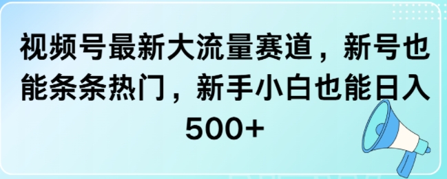 视频号最新大流量赛道，新号也能条条热门，新手小白也能日入5张-小何资源库