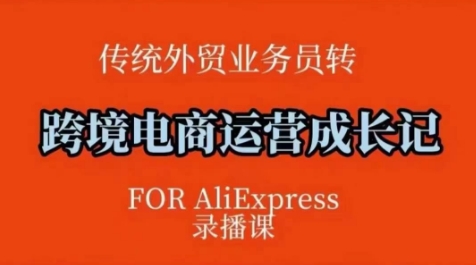 跨境电商速卖通运营课，​运营方法论+后台实操，逻辑清晰-小何资源库