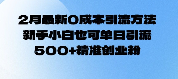2月最新0成本引流方法，新手小白也可单日引流500+精准创业粉-小何资源库