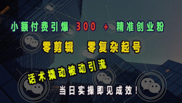 小额付费引爆 300 + 精准创业粉，零剪辑、零复杂起号，话术撬动被动引流，当日实操即见成效-小何资源库