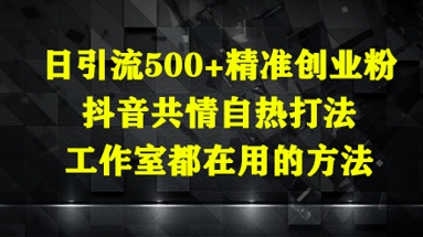 日引流500+精准创业粉，抖音共情自热打法，工作室都在用的方法-小何资源库