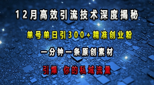 最新高效引流技术深度揭秘 ，单号单日引300+精准创业粉，一分钟一条原创素材，引爆你的私域流量-小何资源库