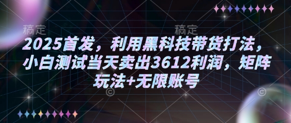 2025首发，利用黑科技带货打法，小白测试当天卖出3612利润，矩阵玩法+无限账号【揭秘】-小何资源库