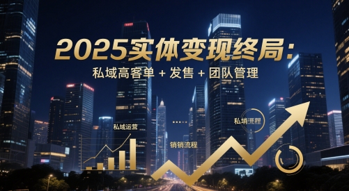 2025实体变现终局：私域高客单+发售+团队管理-小何资源库