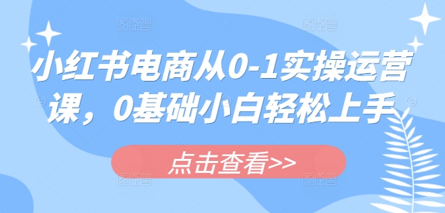 小红书电商从0-1实操运营课，0基础小白轻松上手-小何资源库
