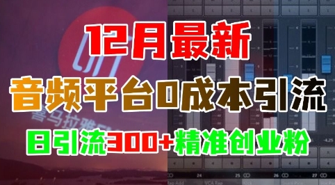 12月最新：音频平台0成本引流，日引流300+精准创业粉-小何资源库