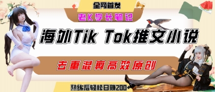 海外tiktok小说推文暴力项目，高停留率，高转化率，上手后一天搞顿饭钱不是问题-小何资源库