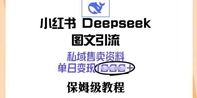 小红书Deepseek图文引流，私域售卖资料，单日变现多张，保姆级教程-小何资源库