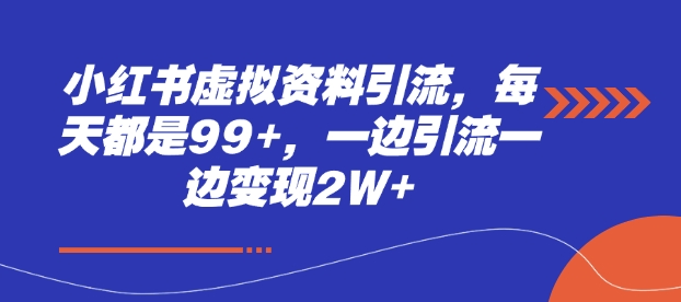 小红书虚拟资料引流，每天都是99+，一边引流一边变现2W+-小何资源库