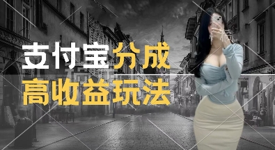 支付宝分成计划新玩法，利用交通事故视频，赚收益，轻松月入过W，操作简单【揭秘】-小何资源库