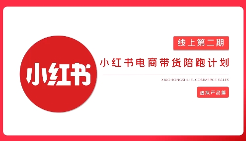 2025小红书虚拟电商实战课，从0到1打造无货源店铺，AI+爆款笔记轻松变现-小何资源库