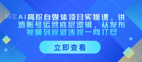 AI高阶自媒体项目实操课，讲透账号运营底层逻辑，从发布视频到规避违规一网打尽-小何资源库