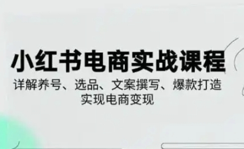 小红书从0-1实操课(2023-2025)，详解养号、选品、文案撰写、爆款打造实现电商变现-小何资源库
