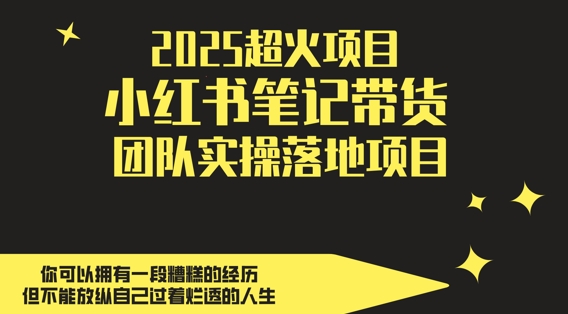 2025超火项目，副业最佳选择，小红书笔记带货团队实操落地项目，，轻松日入5张-小何资源库