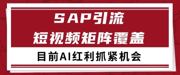 小红书某音sap赛道引流获客 自热矩阵日引200+【揭秘】-小何资源库