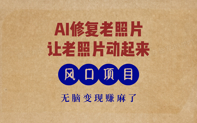 （13296期）最新风口项目，AI一键修复老照片，让老照片动起来，接单到手软，无脑变…-小何资源库
