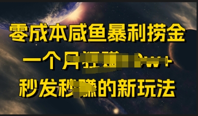 零成本咸鱼暴利捞金，一个月收益过w+，秒发新玩法-小何资源库