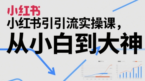 小红书引流实操课，从小白到大神-小何资源库