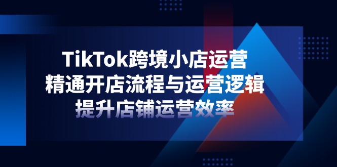 （14369期）TikTok跨境小店运营，精通开店流程与运营逻辑，提升店铺运营效率-小何资源库
