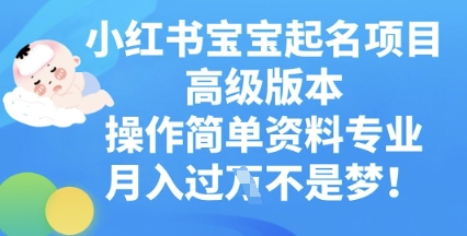 小红书宝宝起名项目高级版本，操作简单，资料专业，月入过W-小何资源库