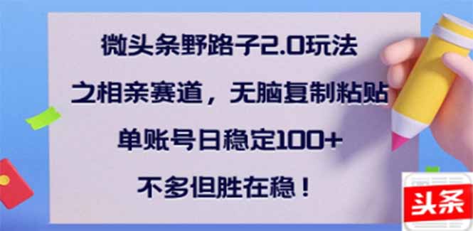 （14334期）微头条野路子2.0玩法之相亲赛道，无脑搬砖复制粘贴，单账号日稳定300+…-小何资源库