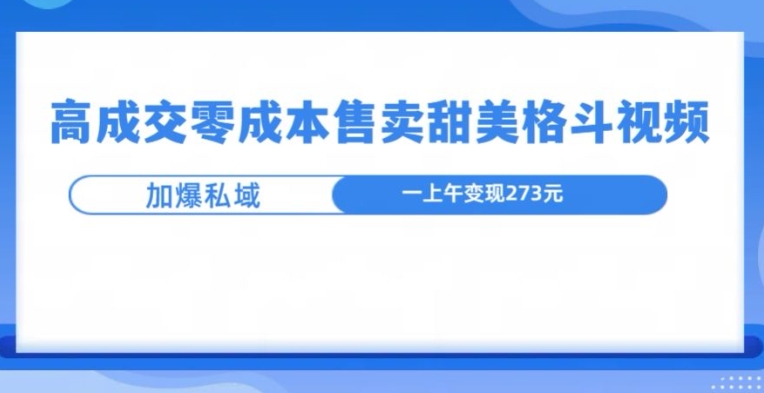 高成交零成本，售卖甜妹格斗视频，可以实现日入过k-小何资源库