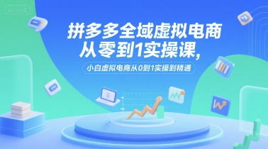 拼多多全域虚拟电商从零到1实操课，小白虚拟电商从0到1实操到精通-小何资源库