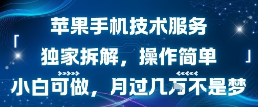 苹果手机技术服务，独家拆解，操作简单，小白可做，月过1W不是梦-小何资源库