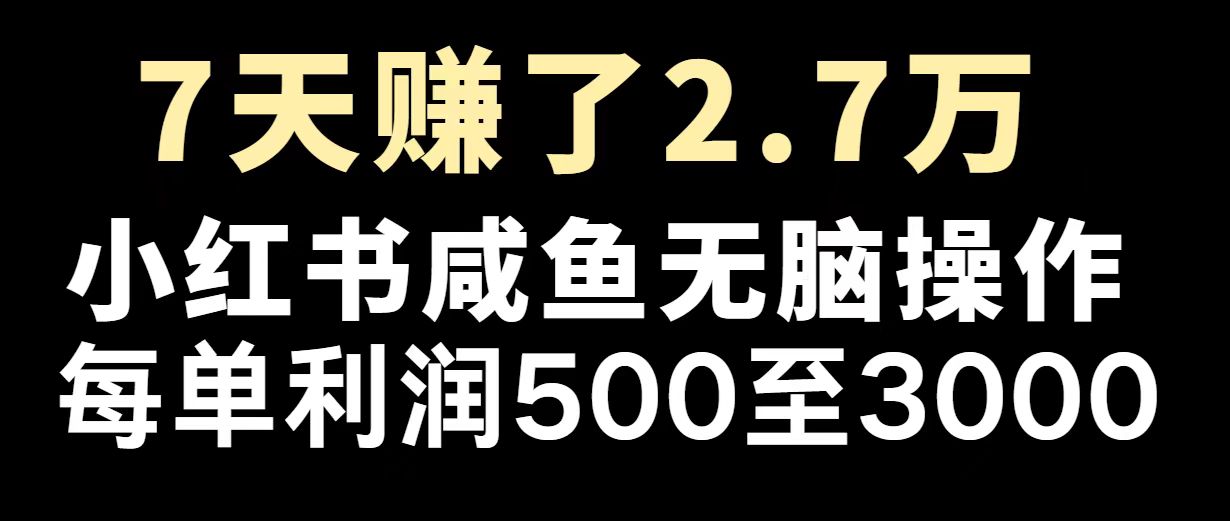 （14183期）最赚钱项目之一，2025爆火，逆风翻盘！-小何资源库