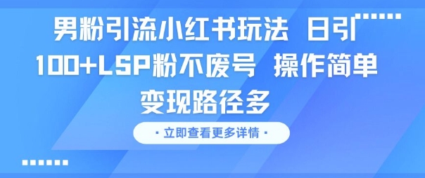 男粉引流小红书玩法，日引100+LSP粉不废号，操作简单，变现路径多-小何资源库